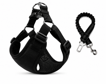 Doggy Belt