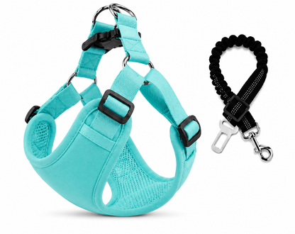Doggy Belt